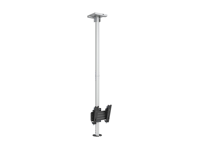 Deckenhalter 1x, 26"-55", weiss, Vesa 100x
